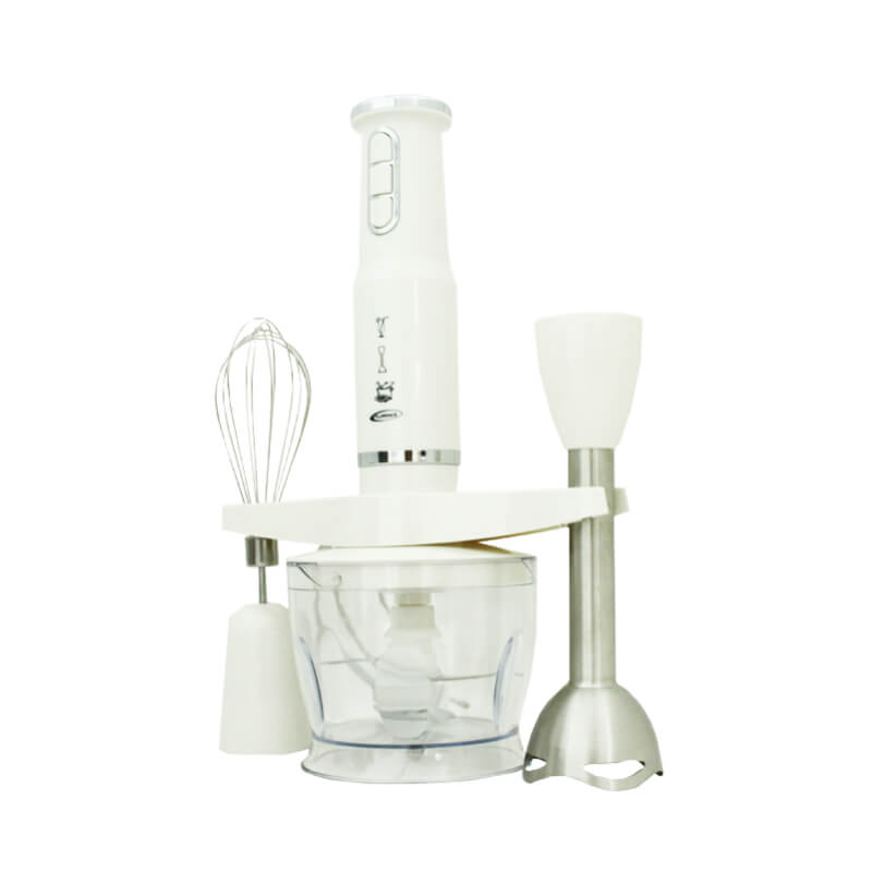 FLORENCE Mixeur Plongeant Multifonction 3 En 1 600 W 500 ml