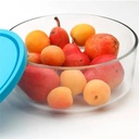 Boîtes de Conservation Rond Frigoverre Bormioli Rocco 15cm / 90cl
