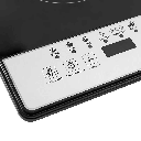 INDUCTION COOKER