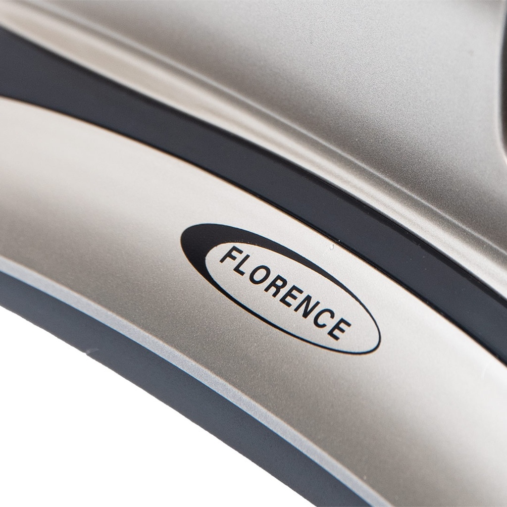 Aspirateur à main Florence HK451 - 250W - Gold/Noir