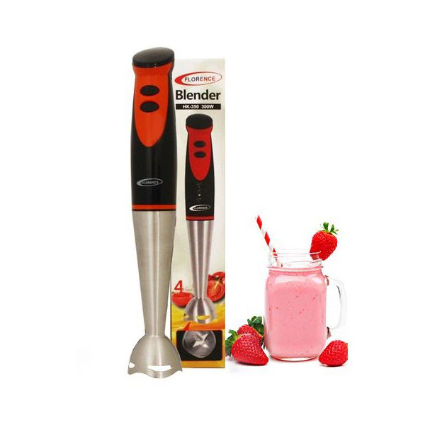 Mixeur Plongeant Florence 300W